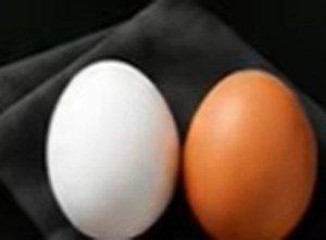 A white egg next to a brown egg