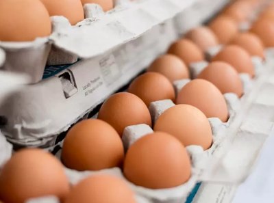 Rows of eggs in a carton