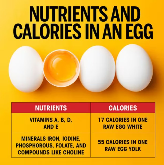Reference chart: nutrients and calories in an egg